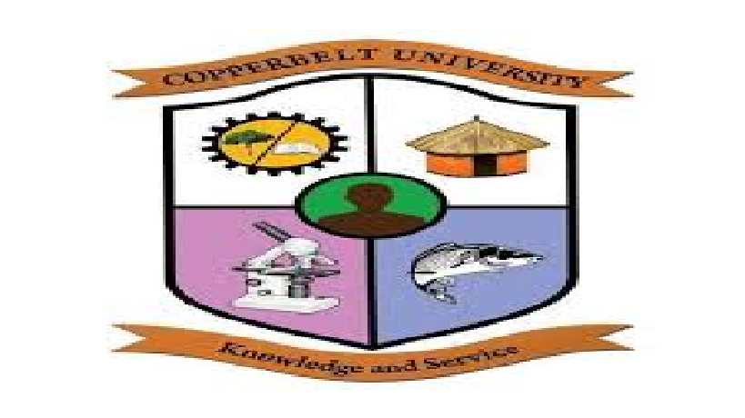 Copperbelt University
